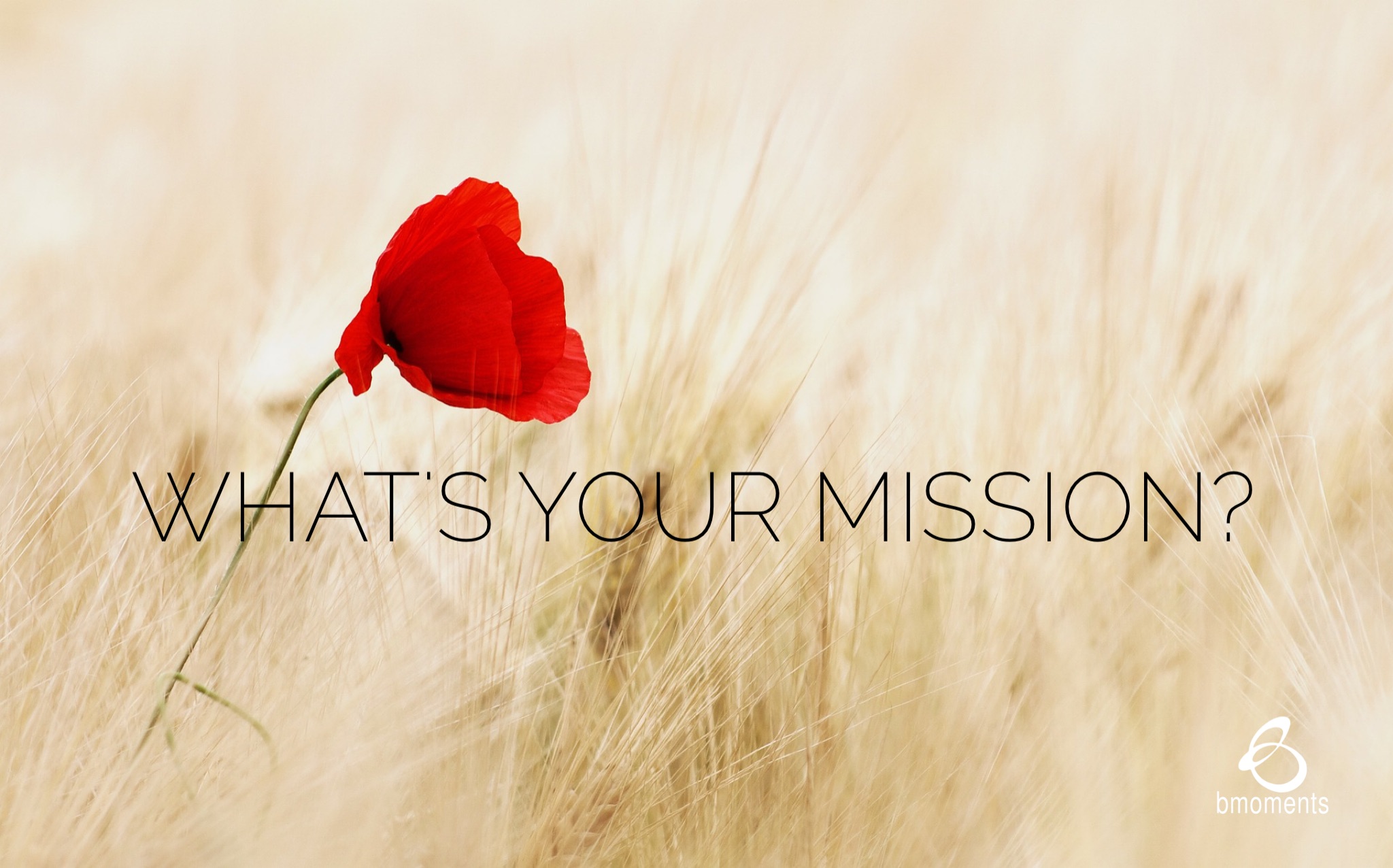 Pondering Your Personal Mission Statement for 2017?