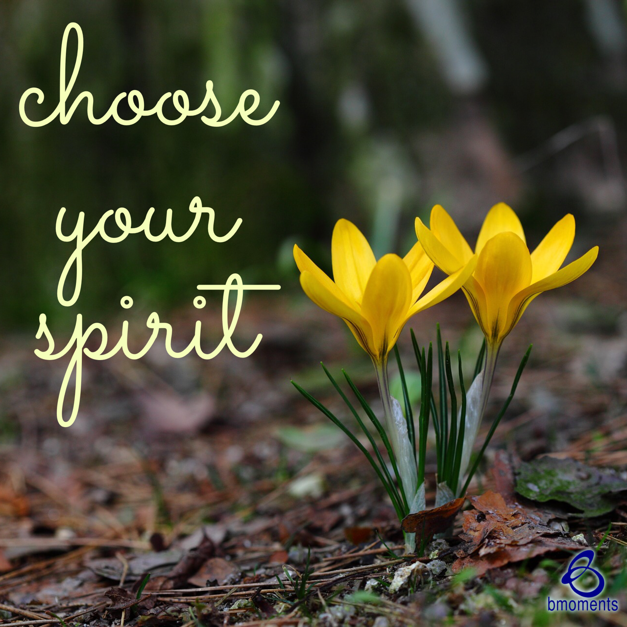 Choose Your Spirit Over Your Flesh