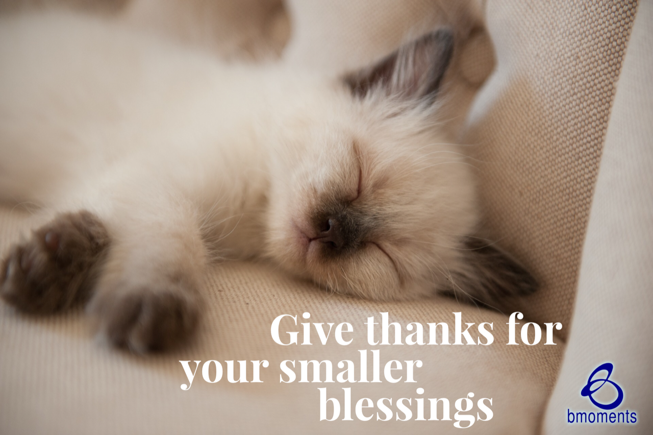 Usher in Big Victories by Giving Thanks